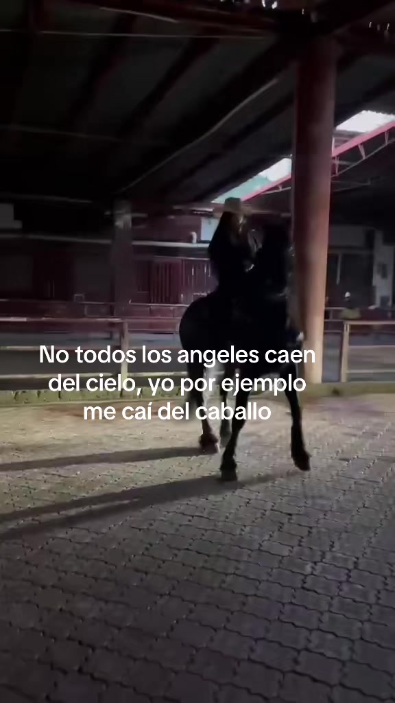 @Aracely