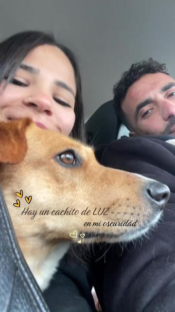 @khouloud