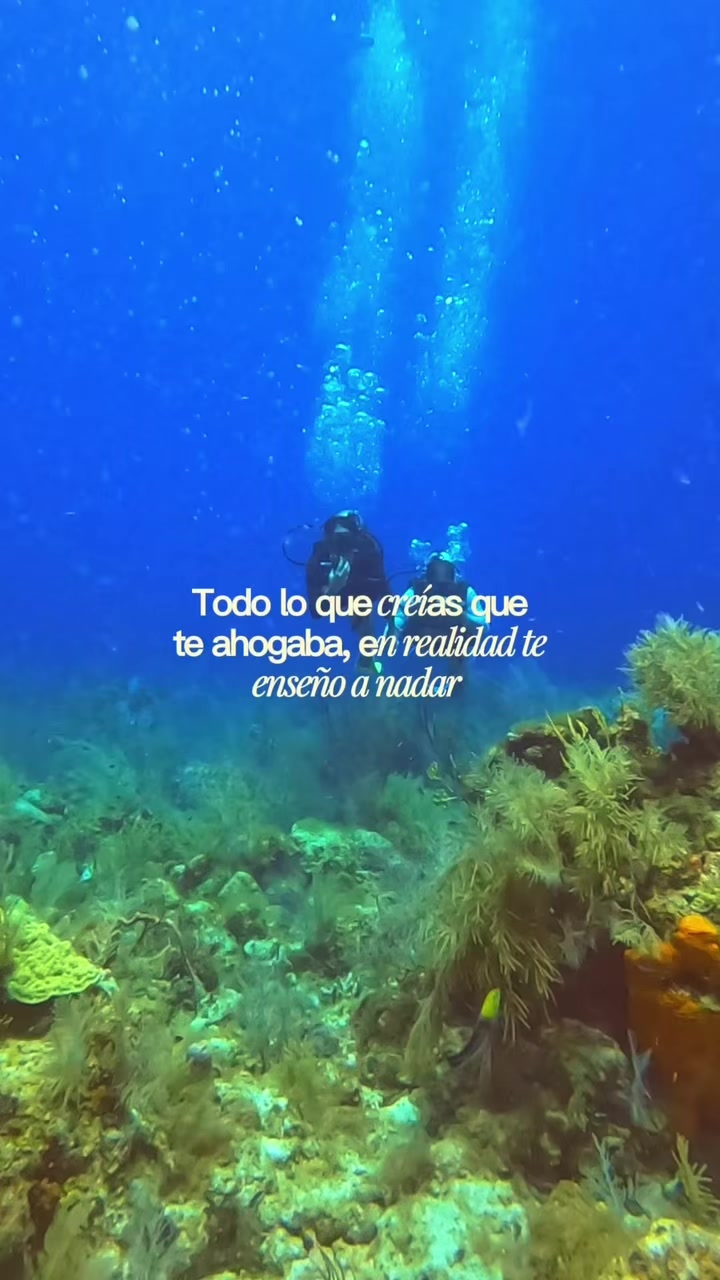 @Jessica Coy 🦋 coach de vida