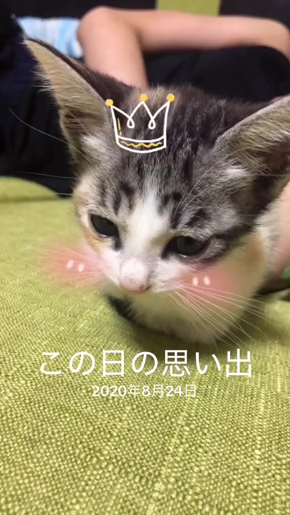 @♪♪ナォ♪♪