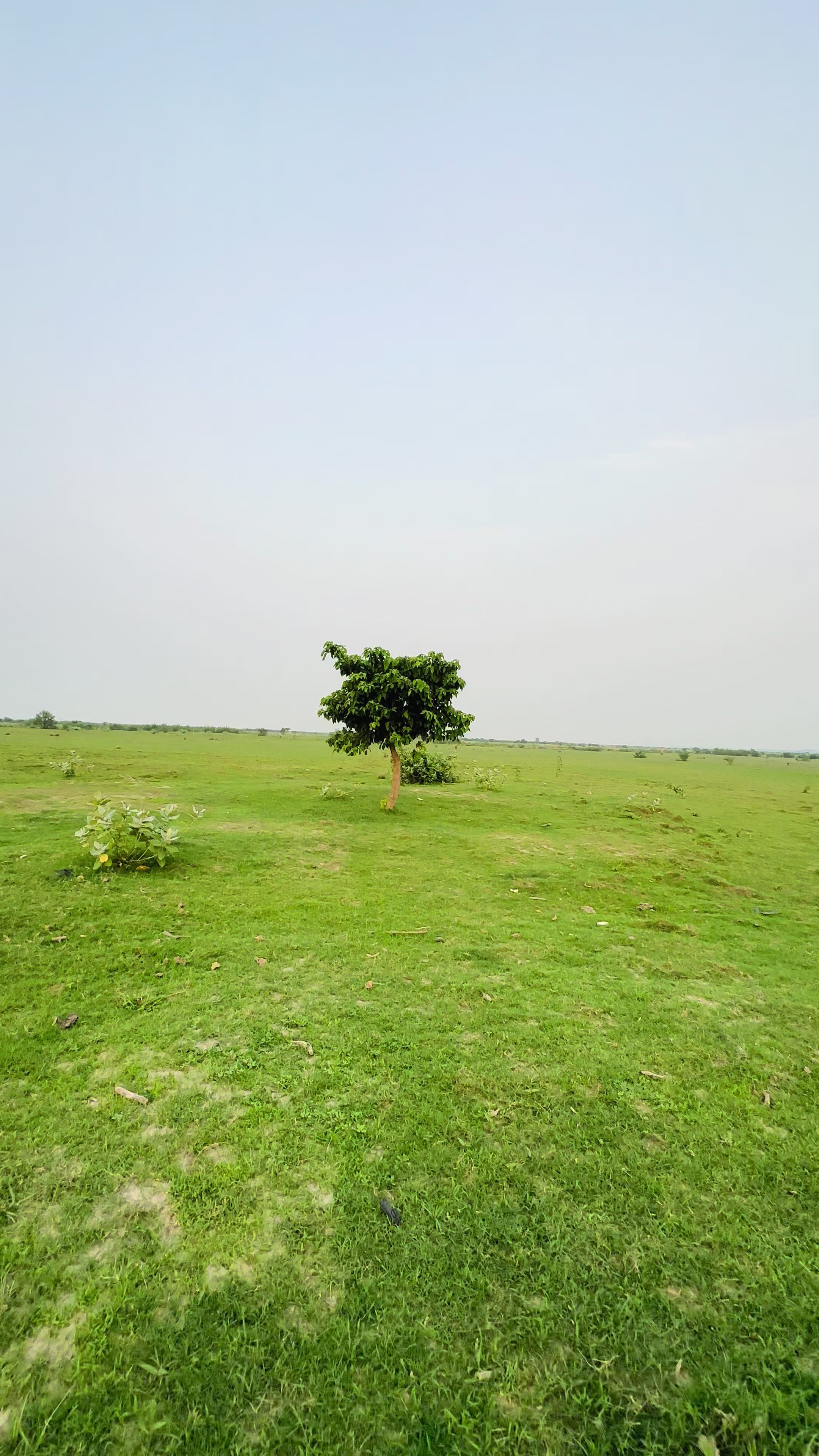 @Md Shahria Kaium