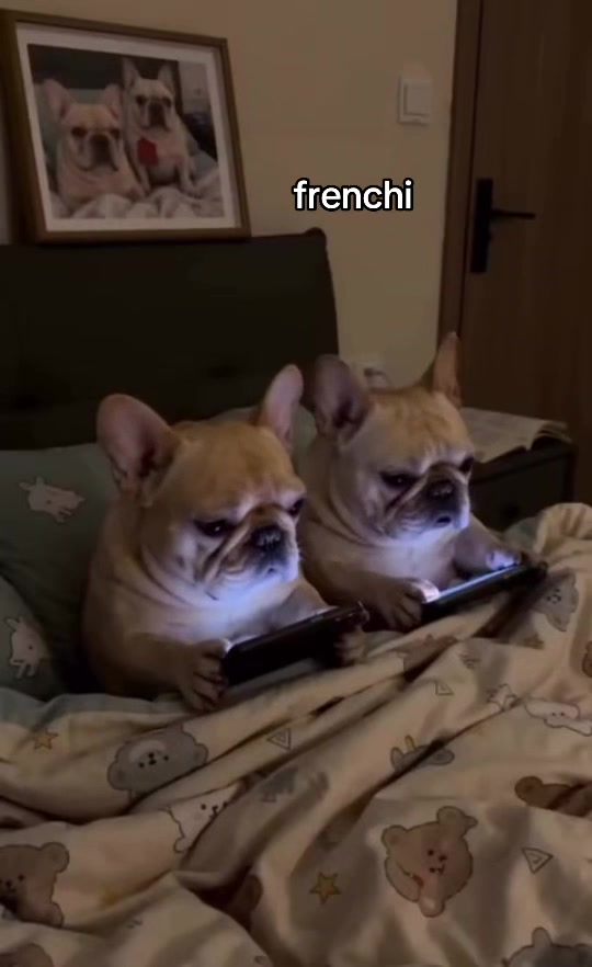 @sheeshhhka
