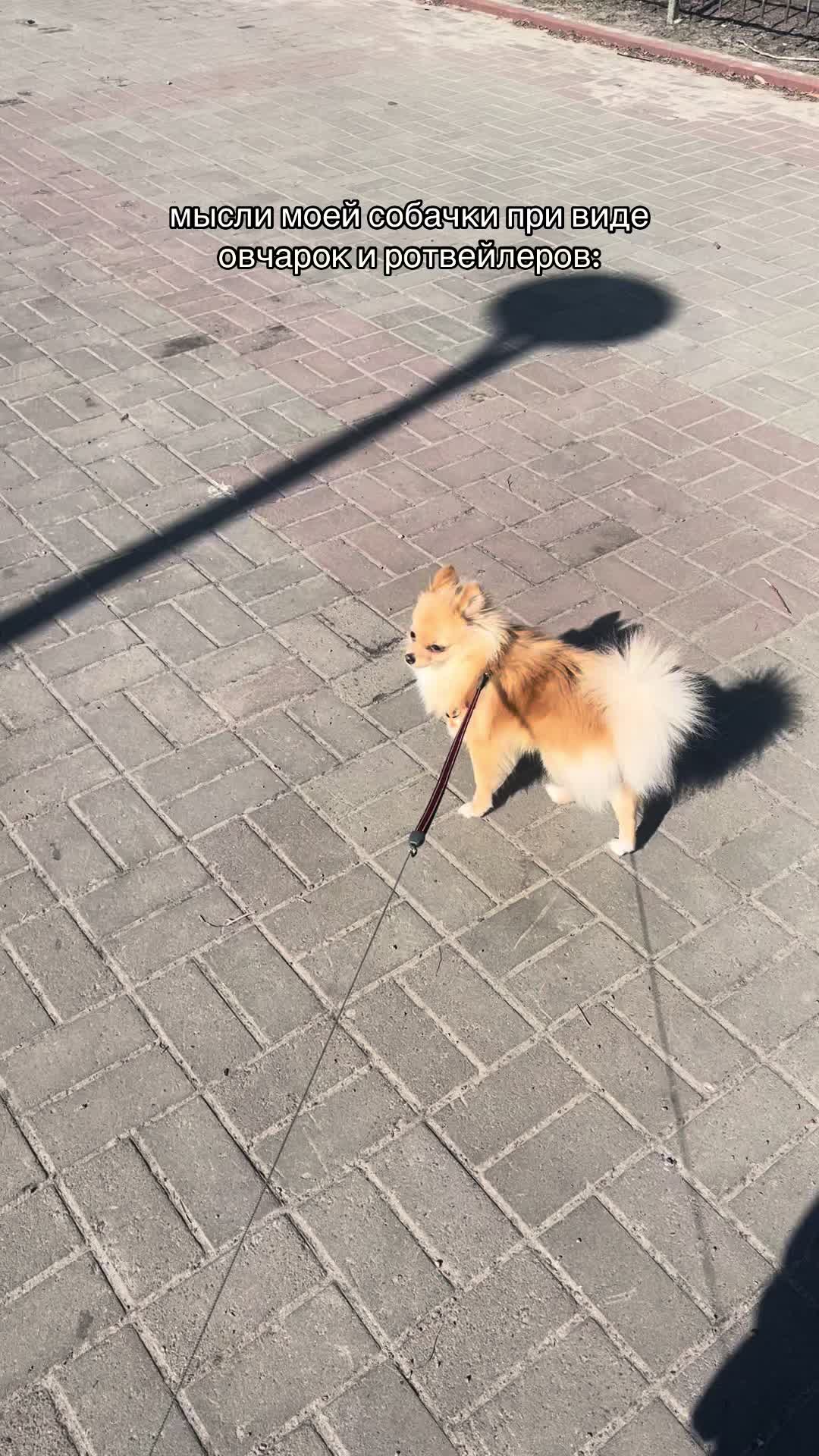 @👸🏼