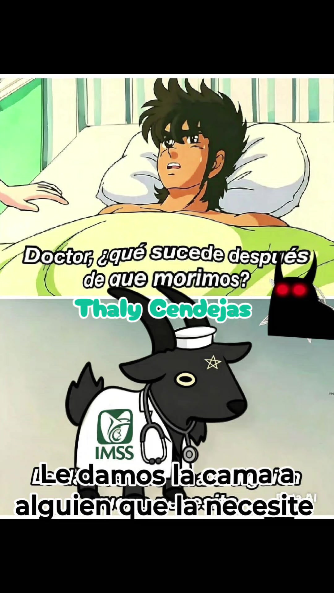 @Thaly Cendejas
