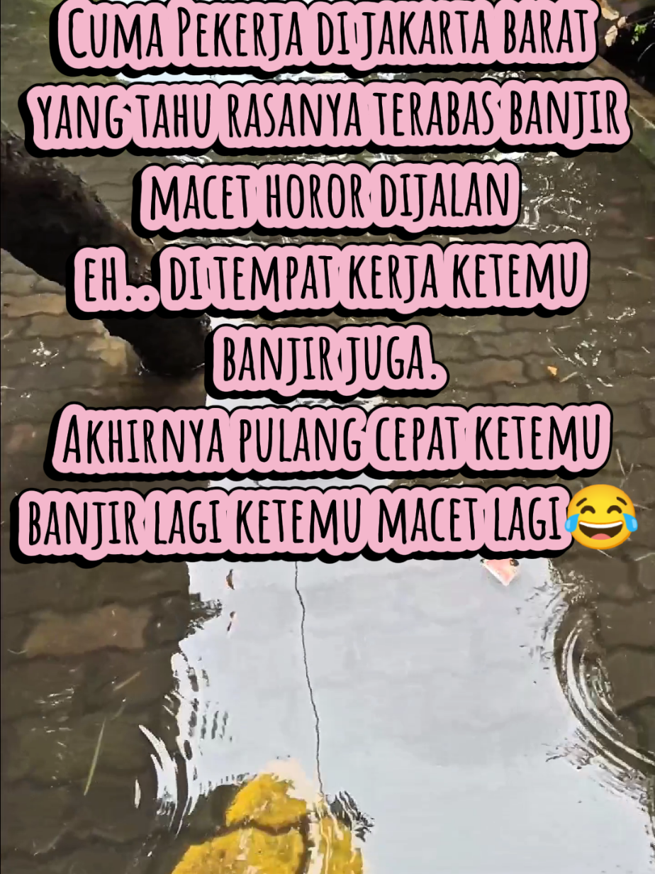 @OmirNow