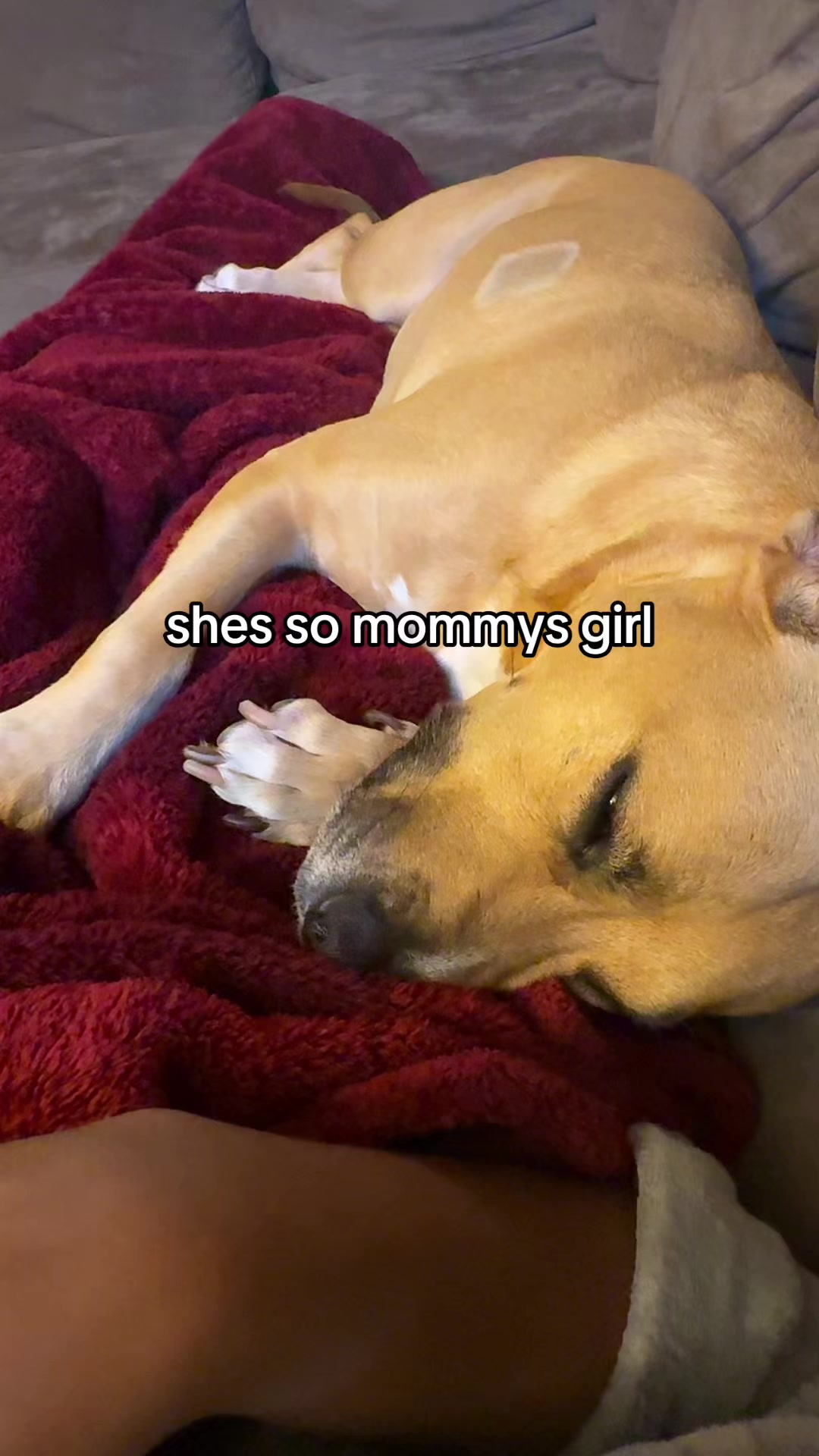 @beabinky