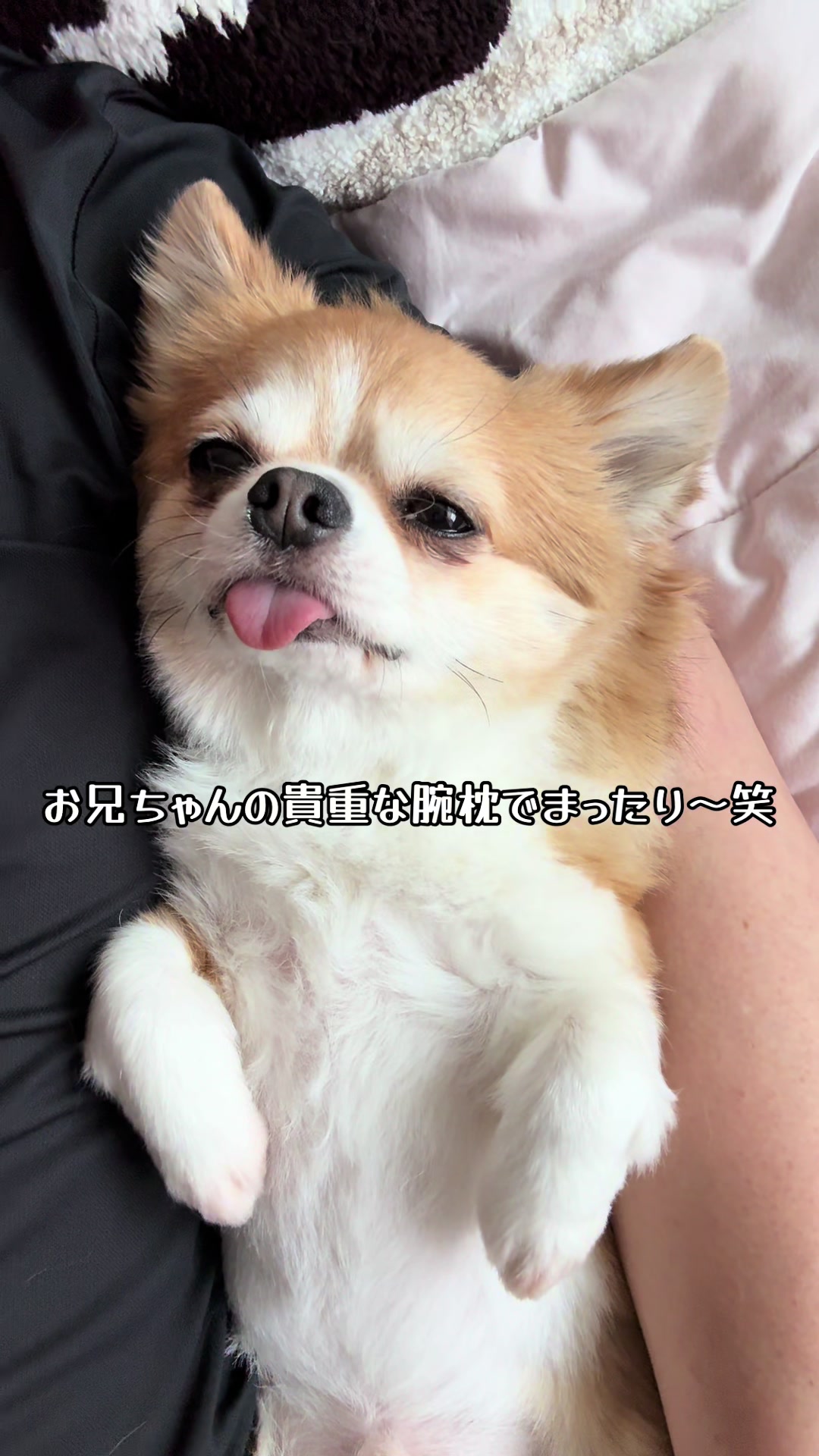 @心太