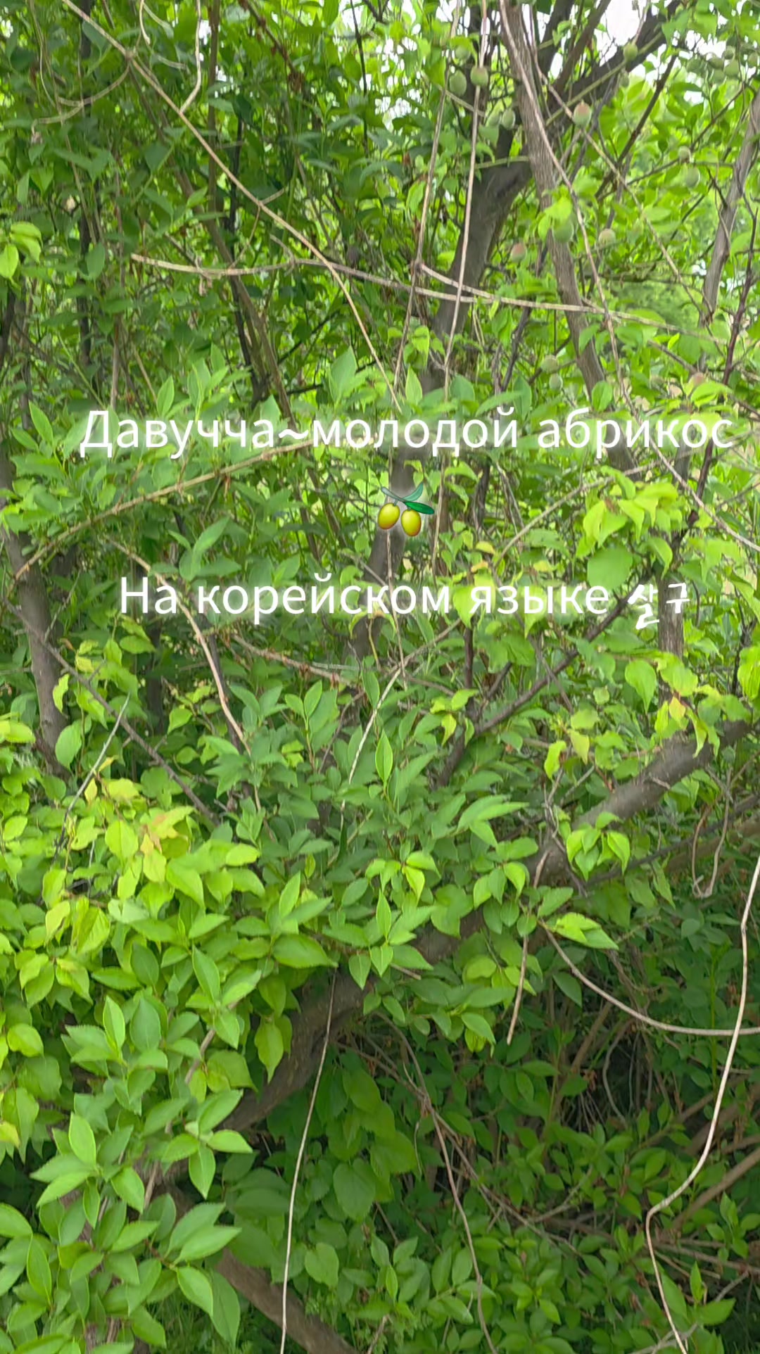 @Здоровый позвоночник♡Юж.Корея