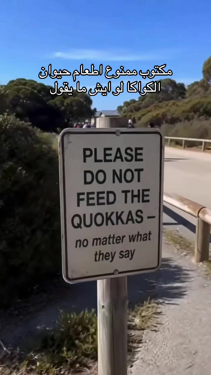 @SARA