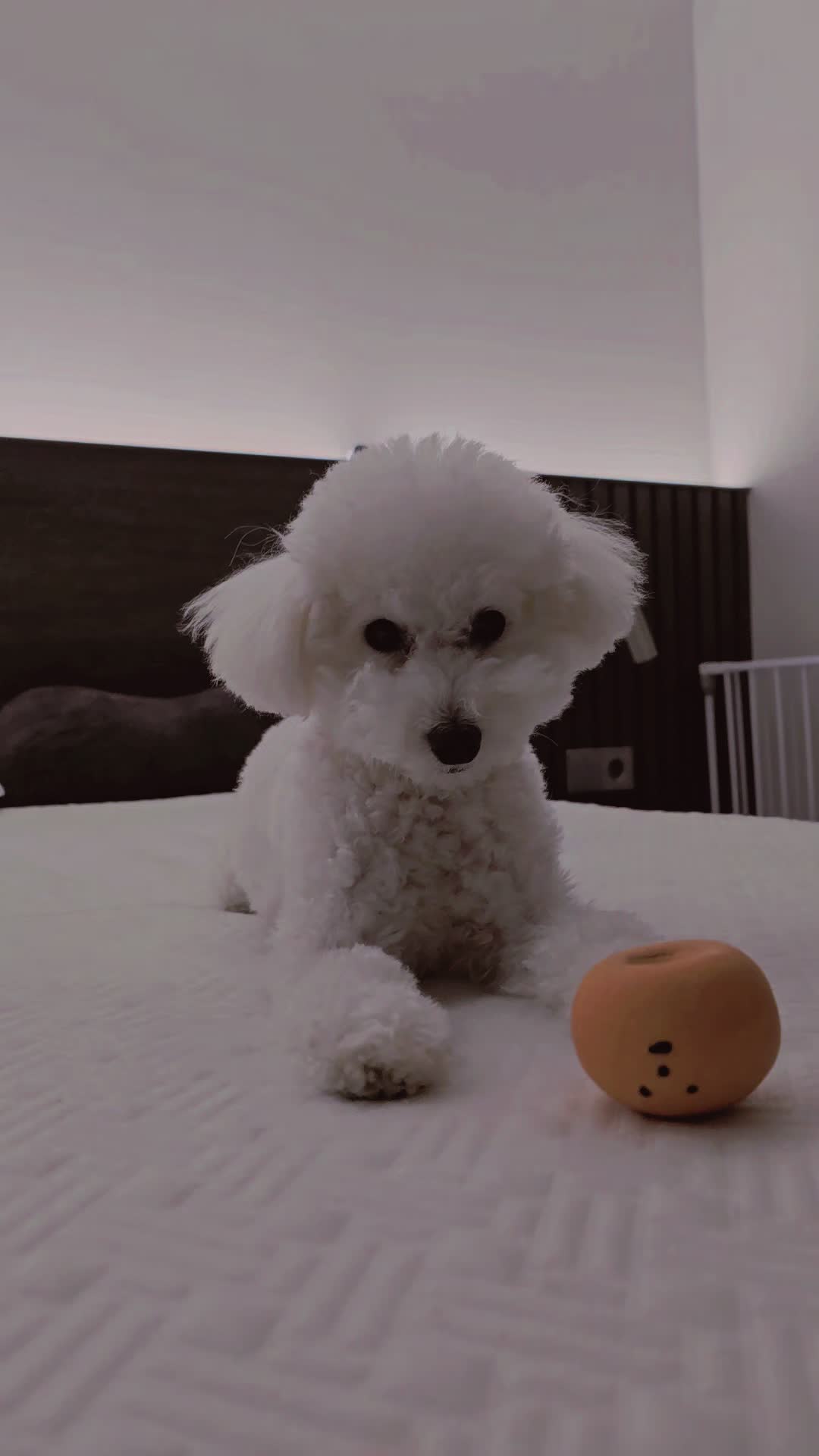 @코우