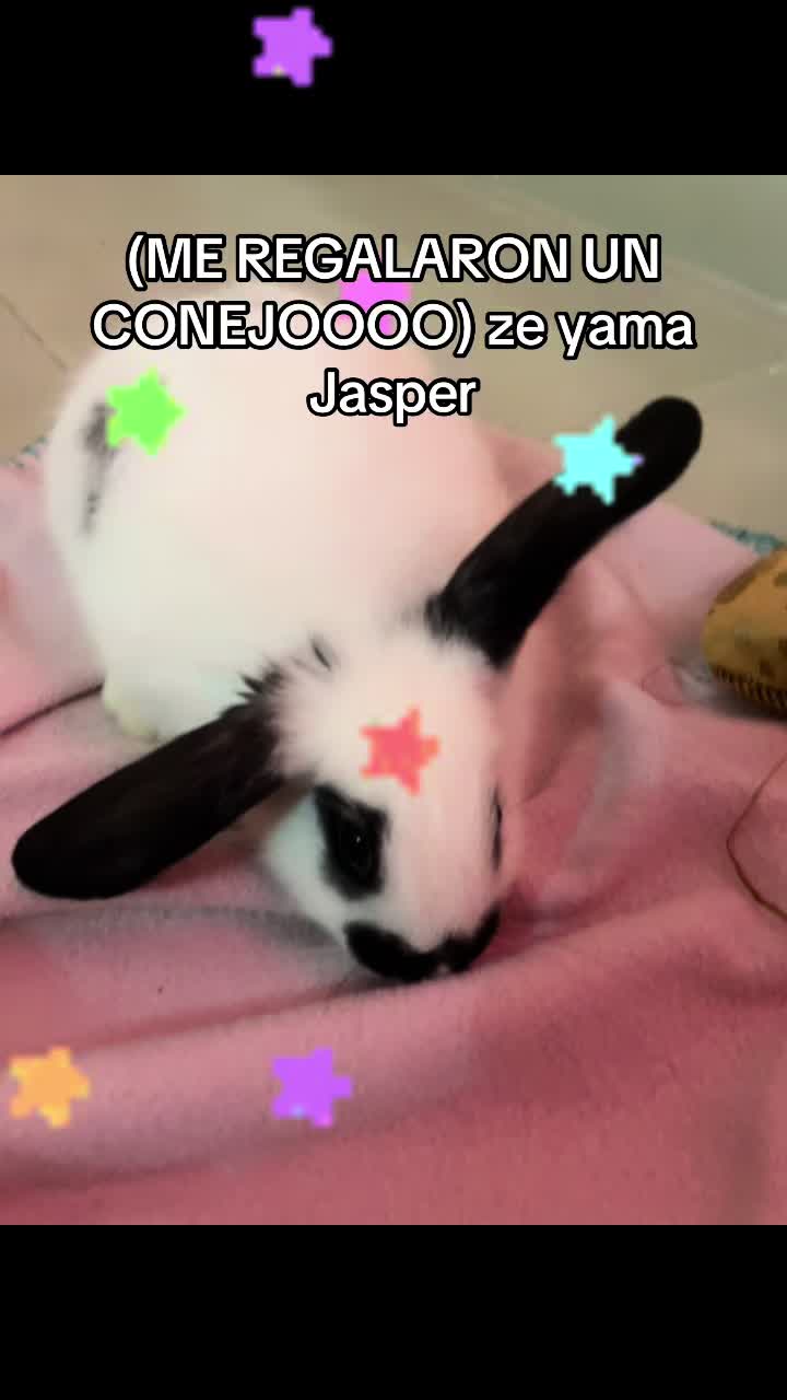 @Garu