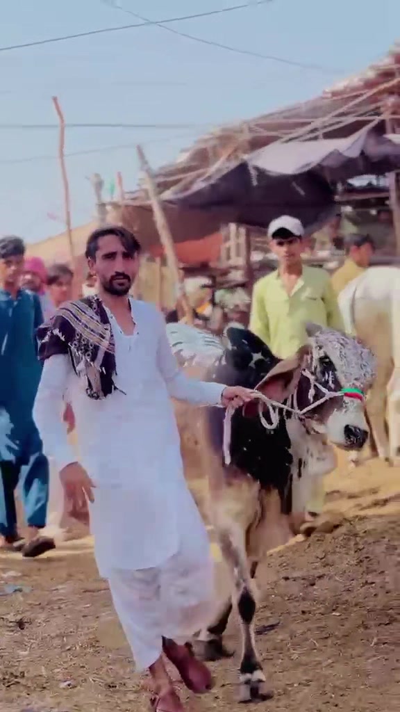@Taimoor khan