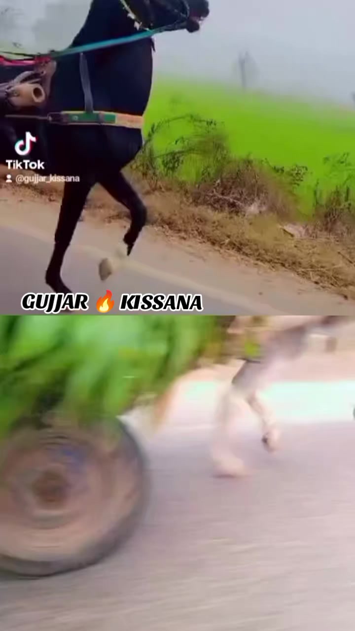 @𝐆𝐔𝐉𝐉𝐀𝐑 𝐊𝐈𝐒𝐒𝐀𝐍𝐀55