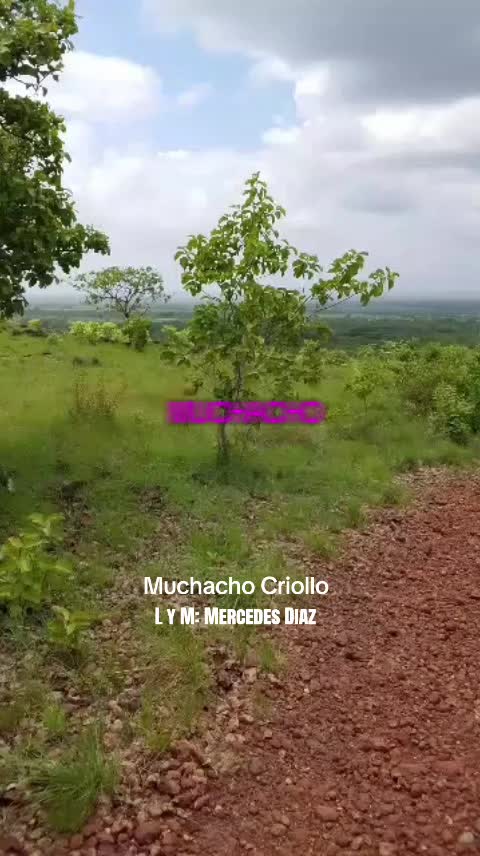 @LlaneritaOficial