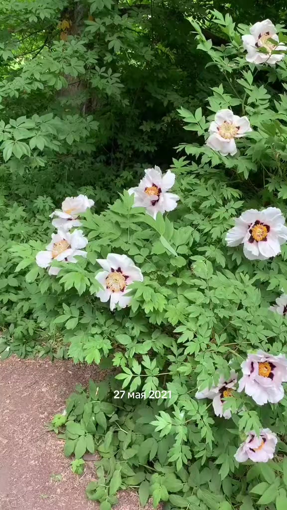 @Ирина❤️