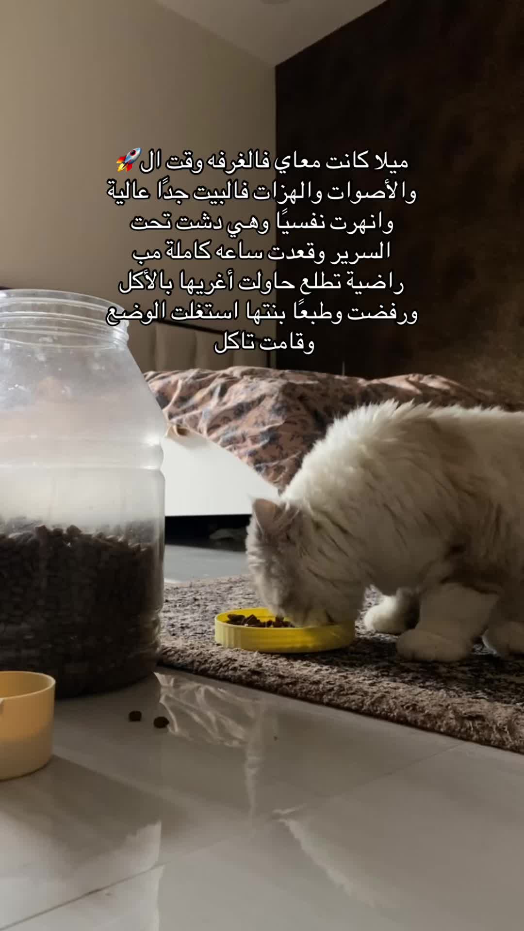 @MILA🤍LUNA