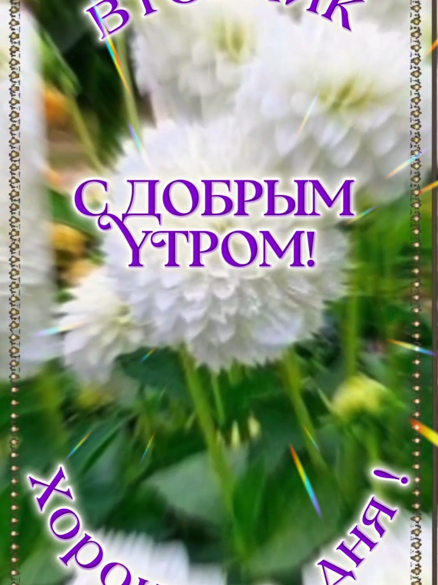 @🇧🇾 Магер Елена ♈