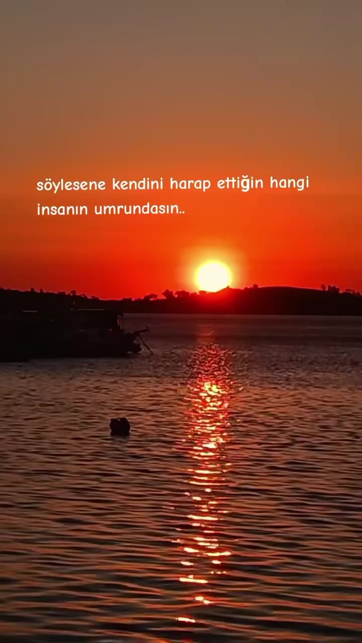 @mavig&ouml;l