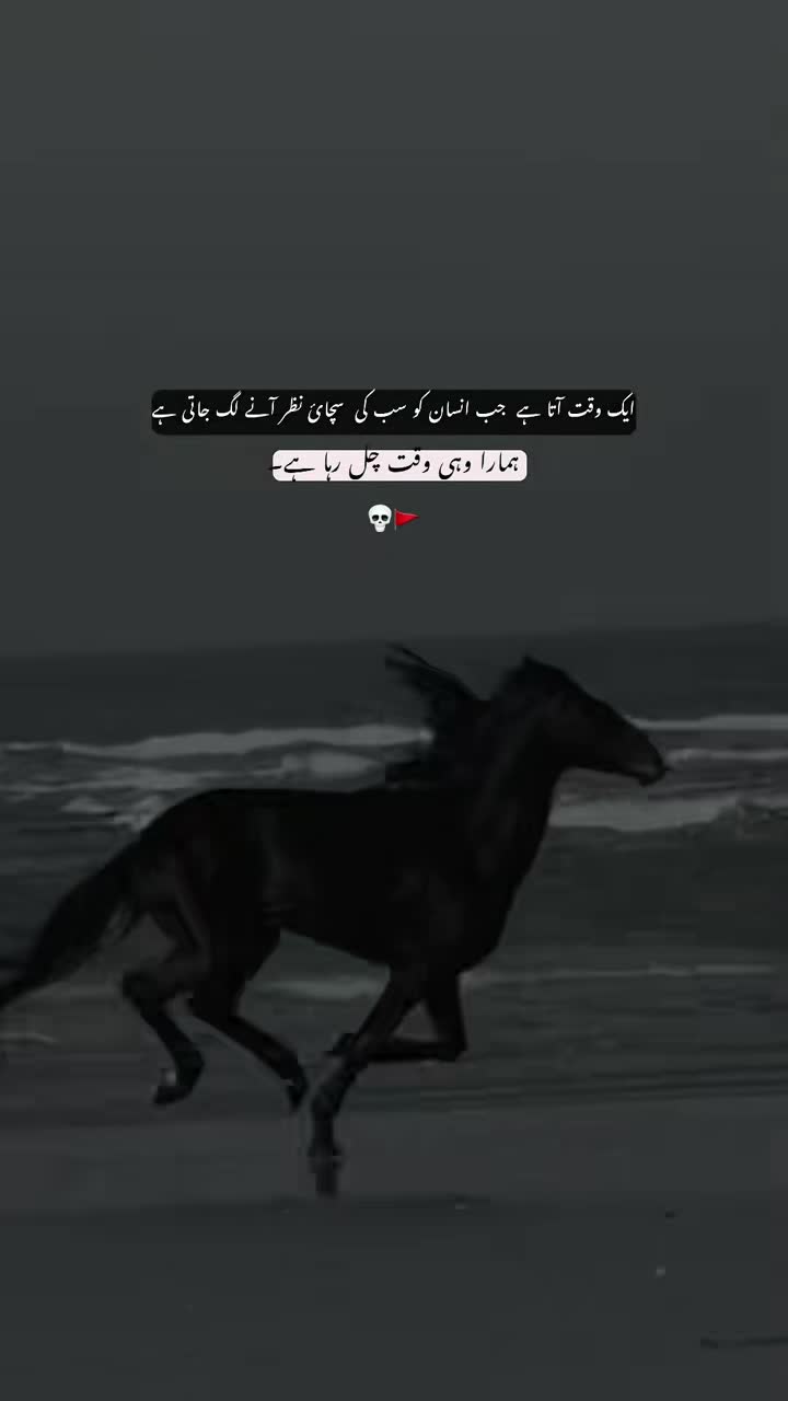 @𝐙𝐀𝐇𝐑𝐀 𝟖𝟎𝟒🚩