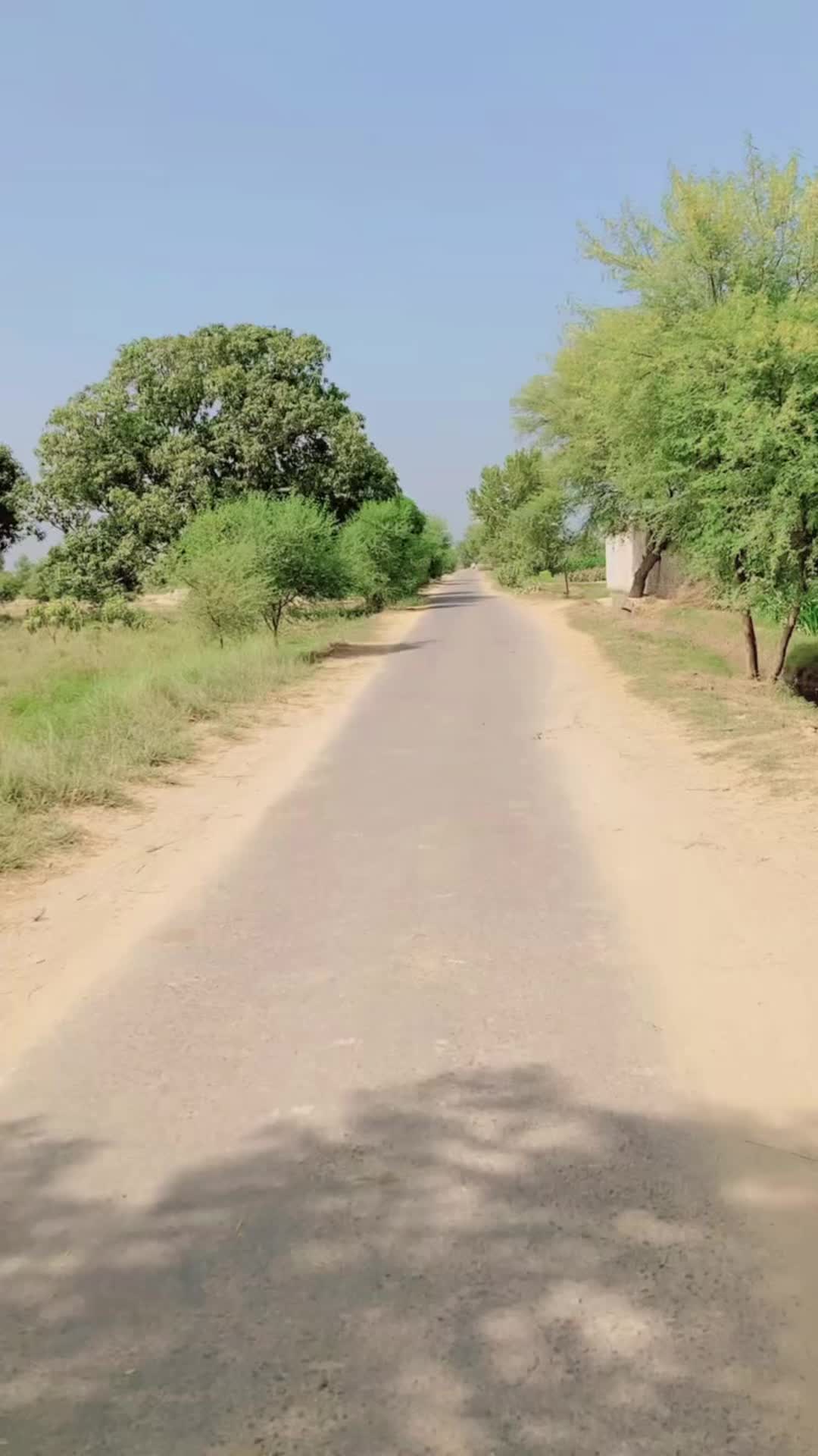 @Fãkhâr Ãbbås Dhùdhì