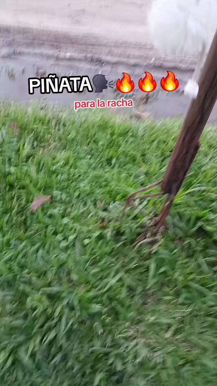 @🍫&deg;🥛F4ИY🥛&deg;🍫