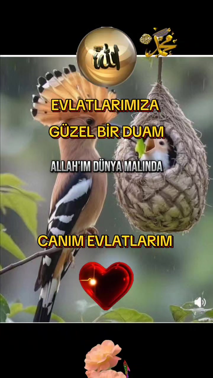 @💚NAKŞİ💜AİLESİ🥀EBAG&Uuml;L🥀