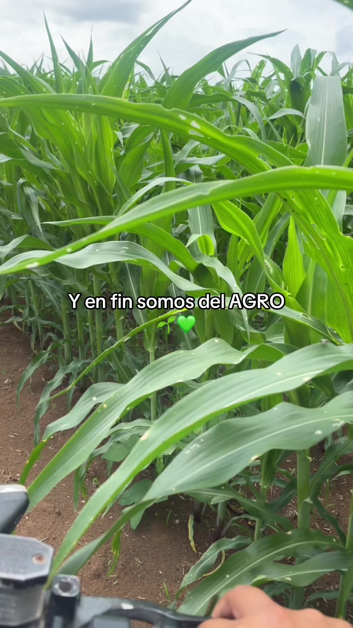 @La del Agro 👩🏻&zwj;🌾🌱
