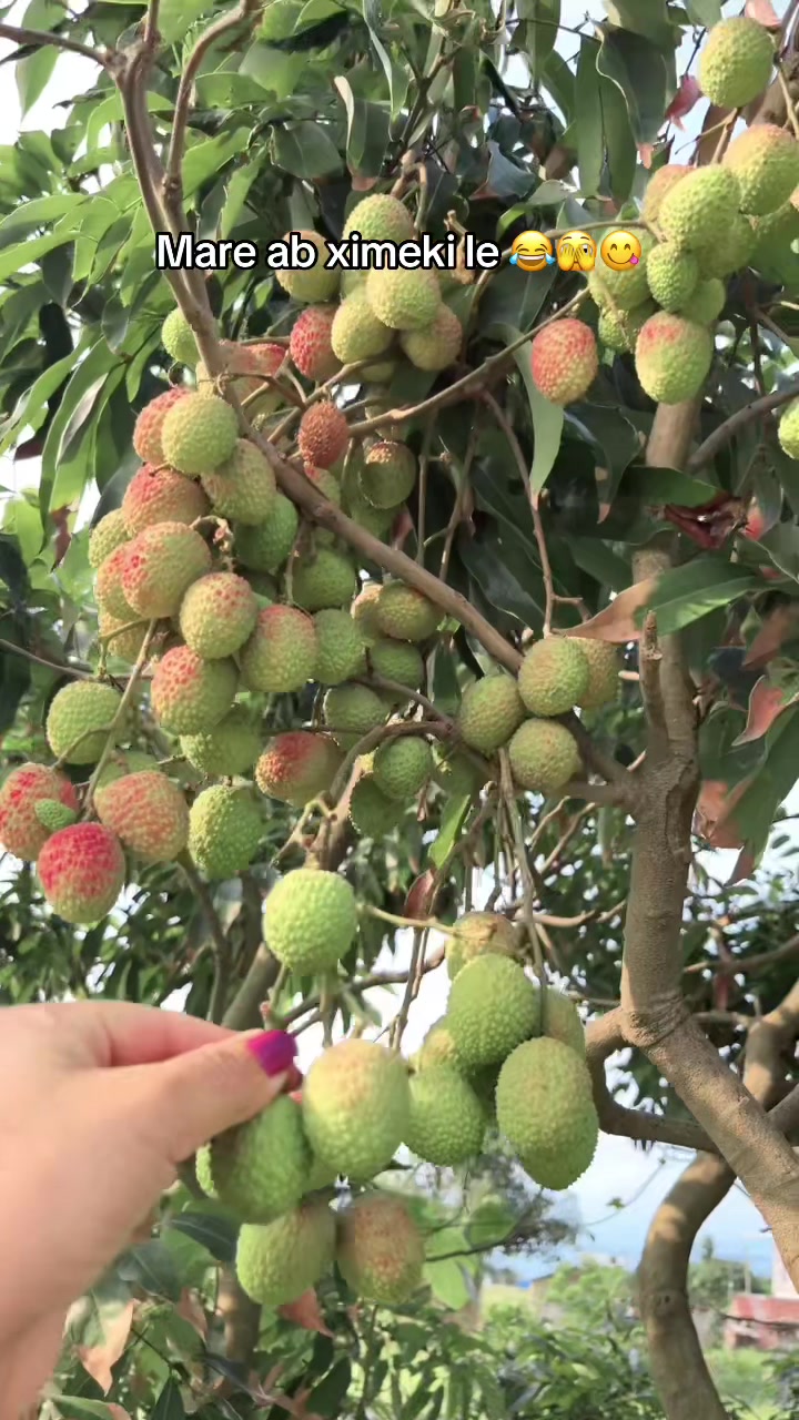 @Sirjana Karki🧿💎