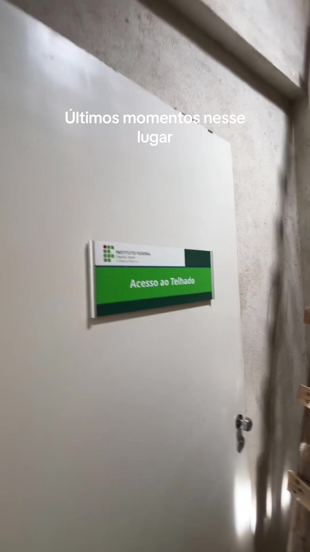 @ana luiza