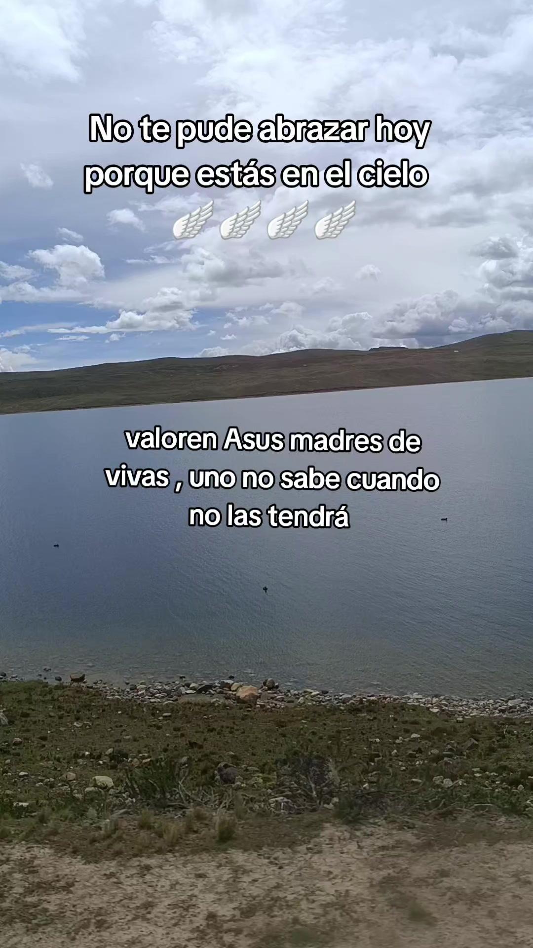 @Lesly Campos Díaz