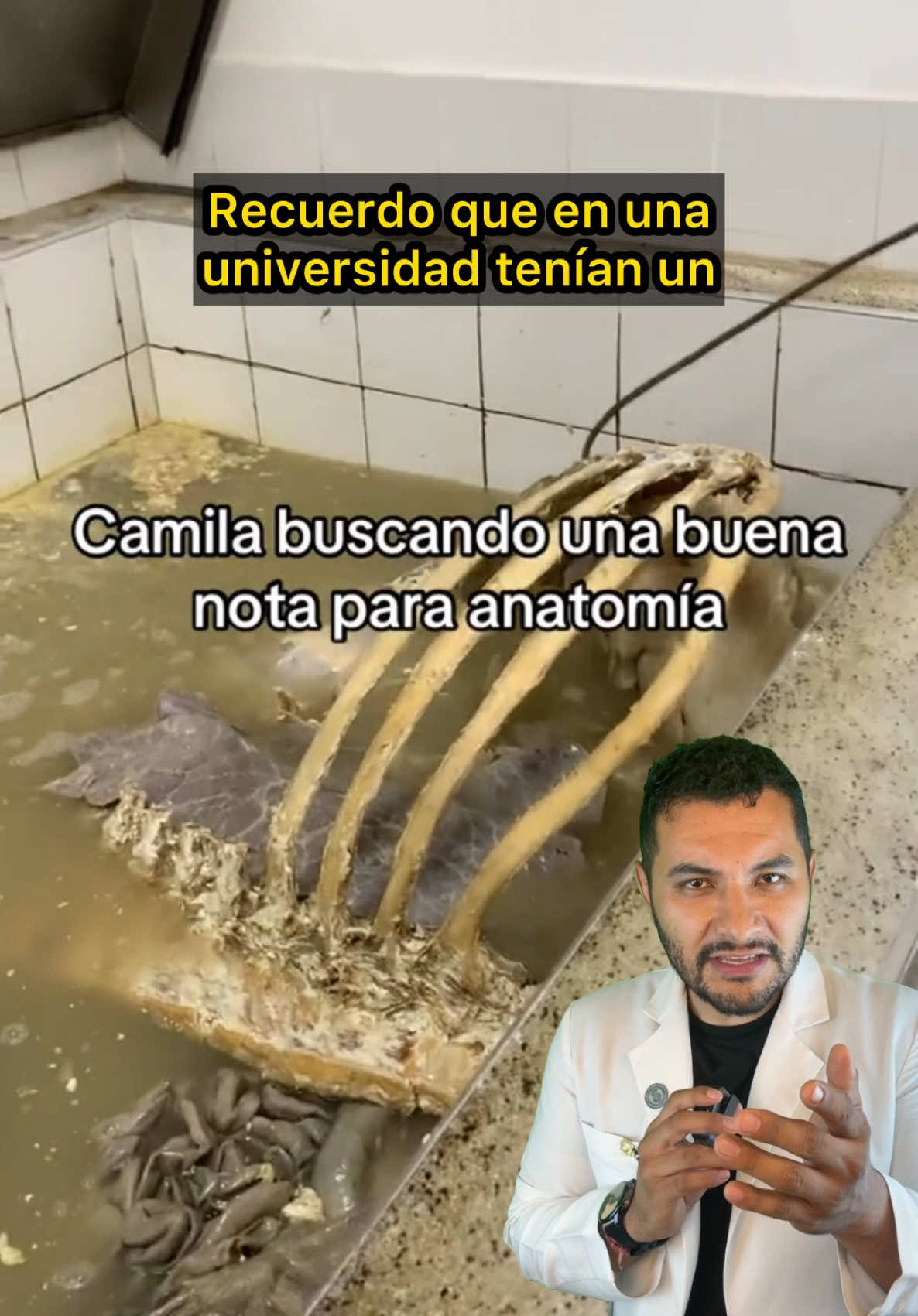 @Investigador Forense