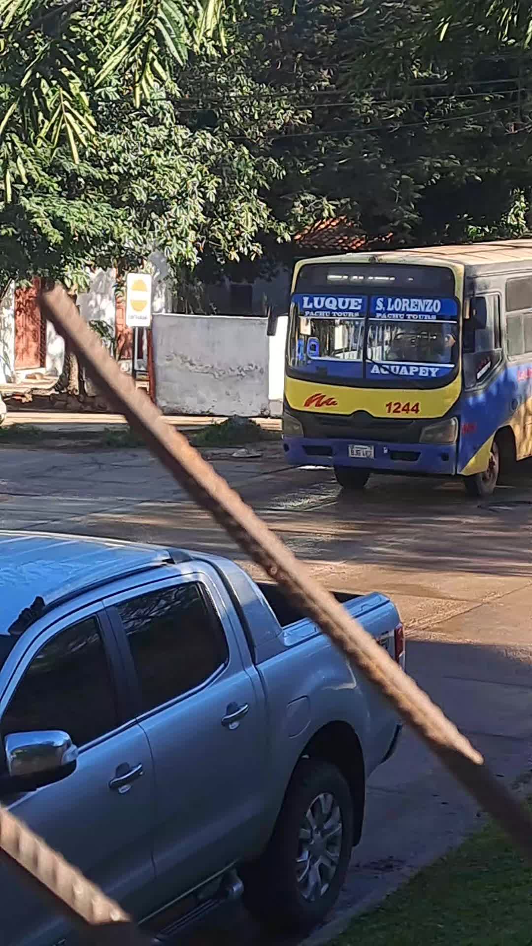 @†★BUSES_RANDON_PY★†