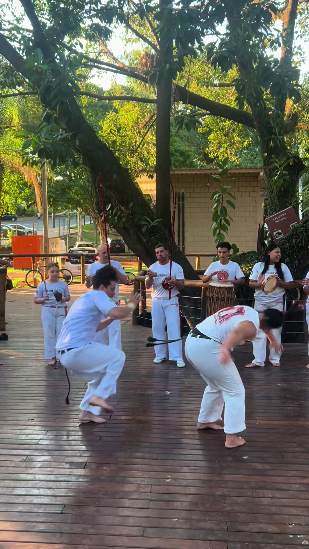 @Calô- Capoeira 🏅