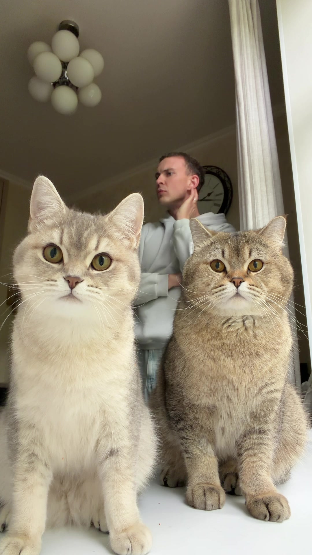 @котопапа