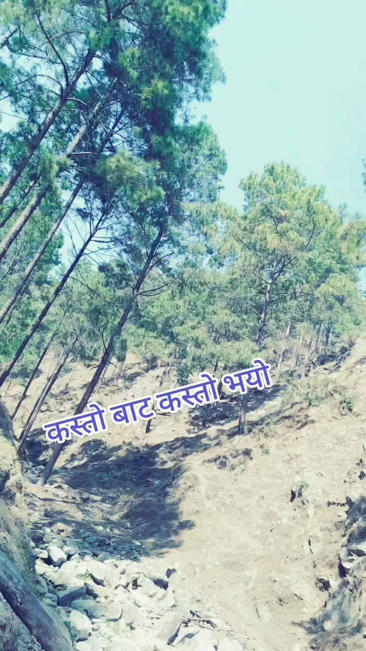 @Aavash455
