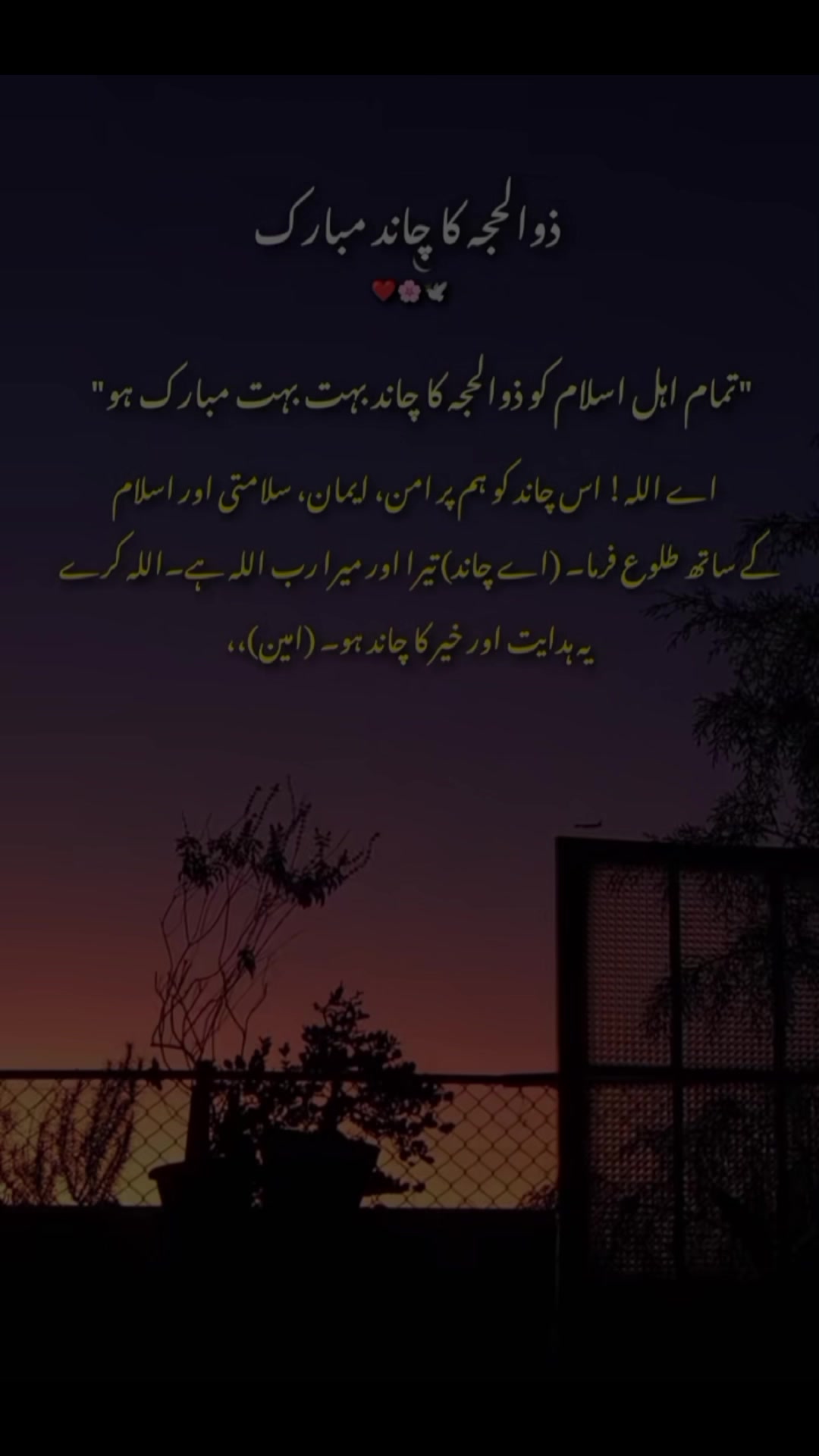 @Rao786