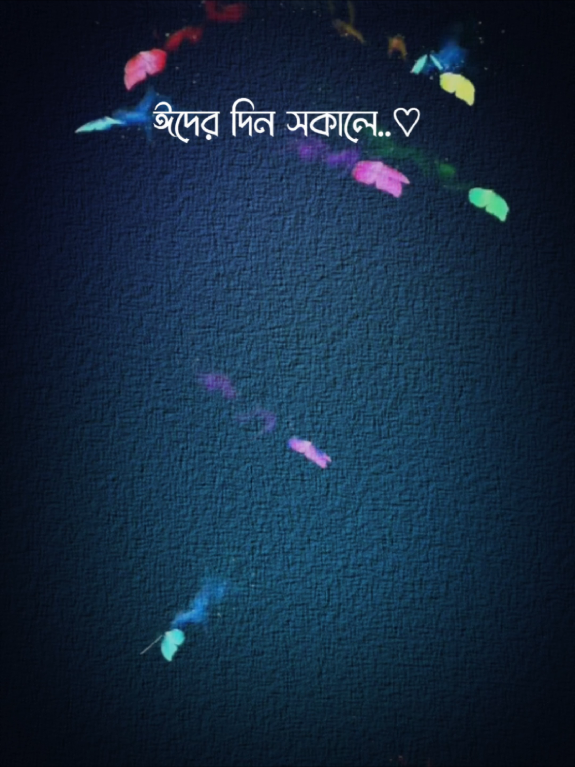 @Ꮢꫝʜɪᴍ Ɛᴅɪᴛ乙 ✍️