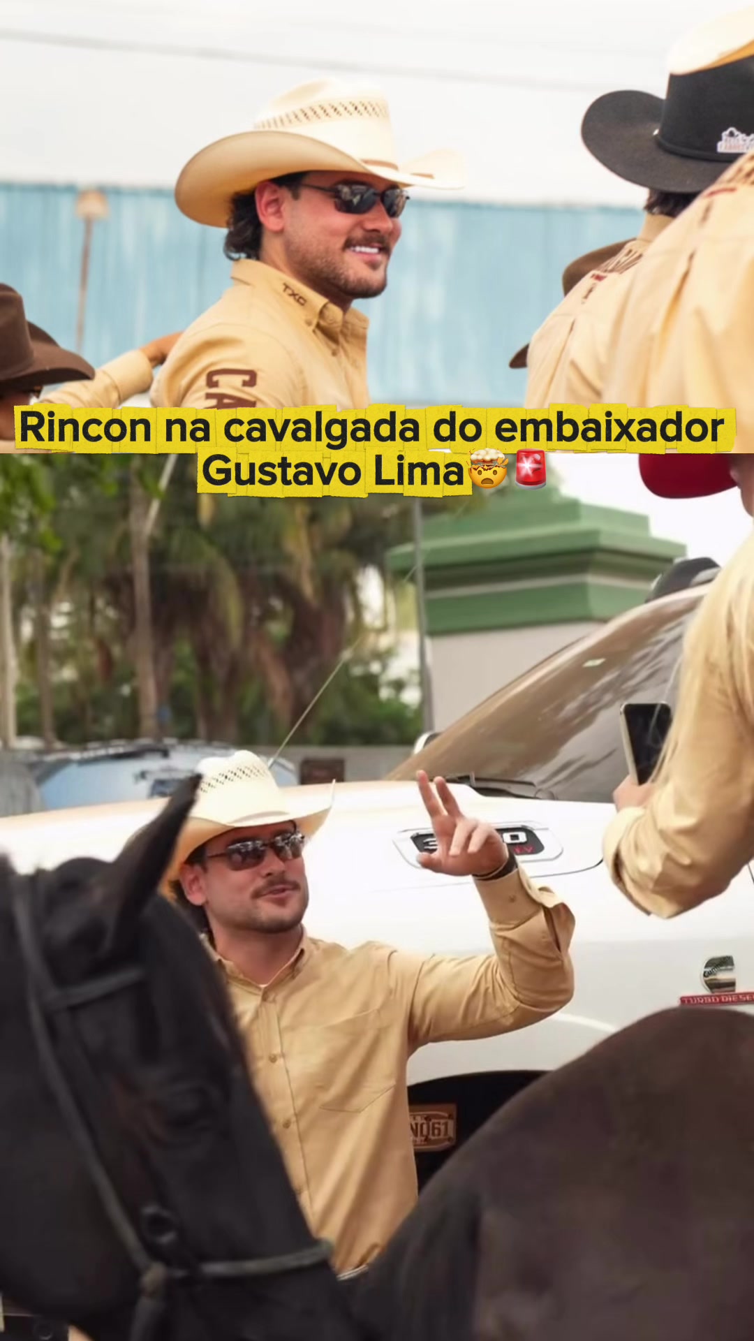 @Rcn061.cortesz