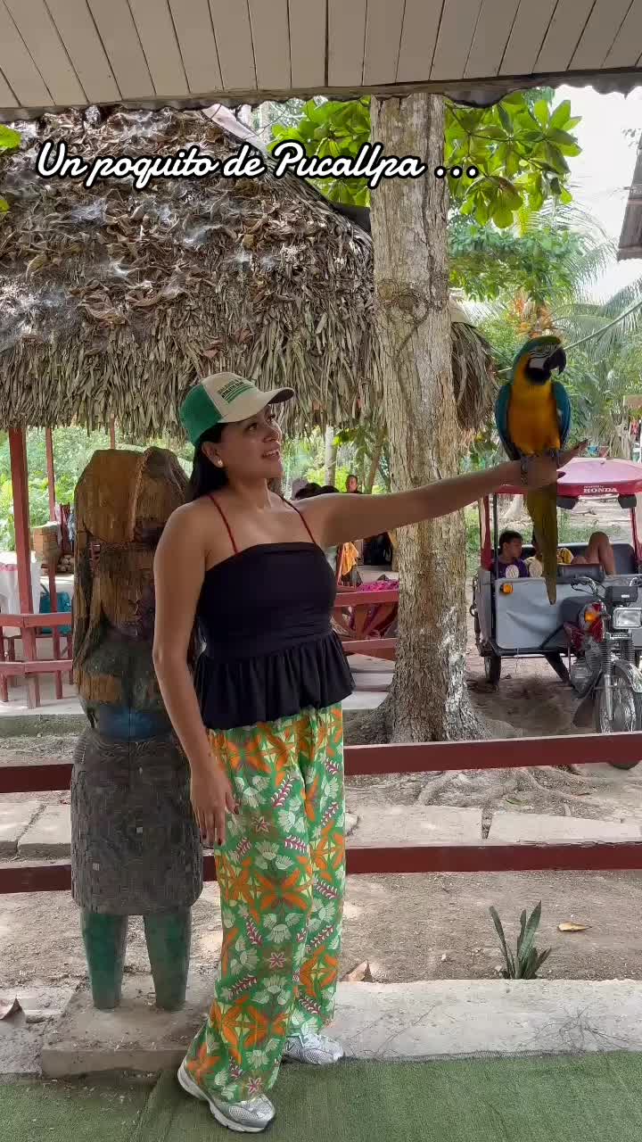 @Rubigc
