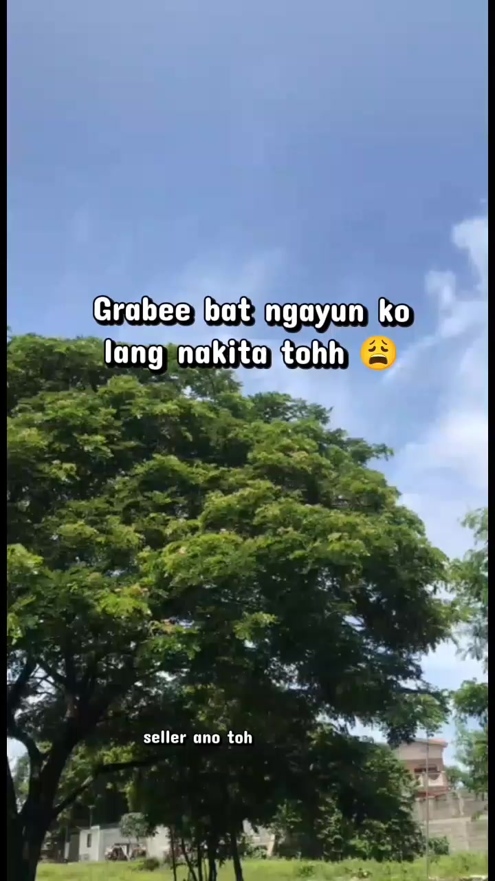 @rhys