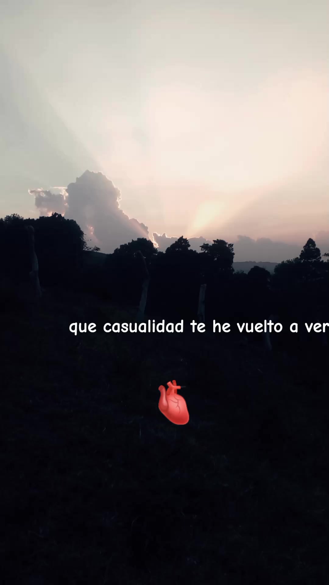 @alexandra_72