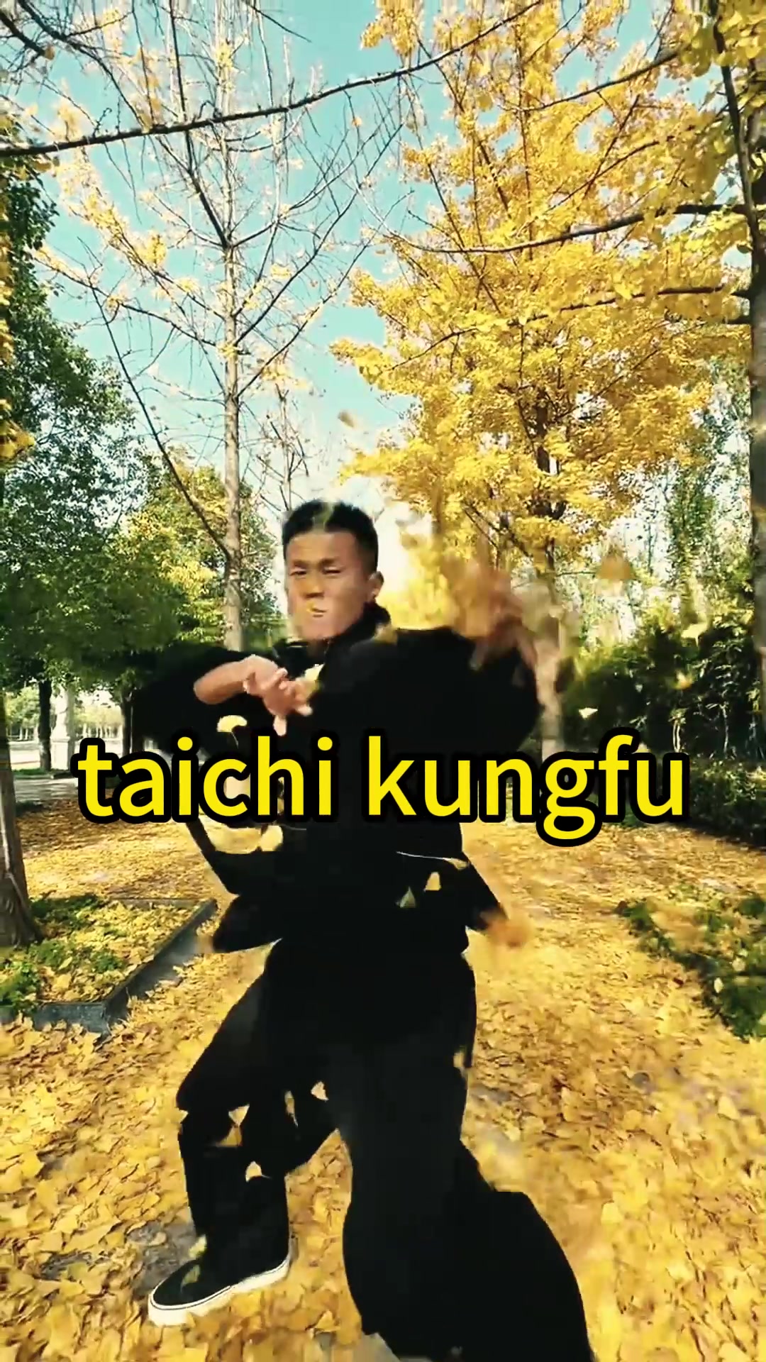 @taichituan