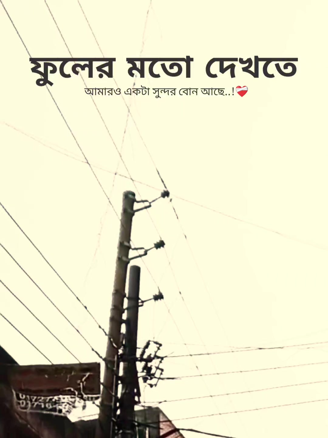 @꧁⭑শেষ পৃষ্ঠা⭑꧂