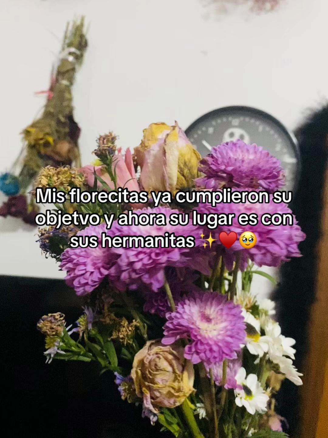 @ilse bermudez