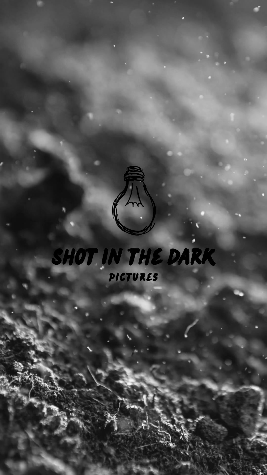 @Shot in the dark pictures