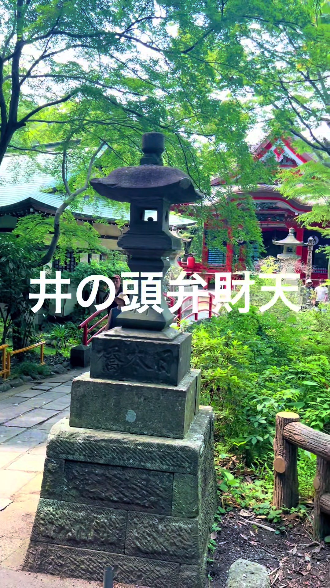 @h0shino_michishirube