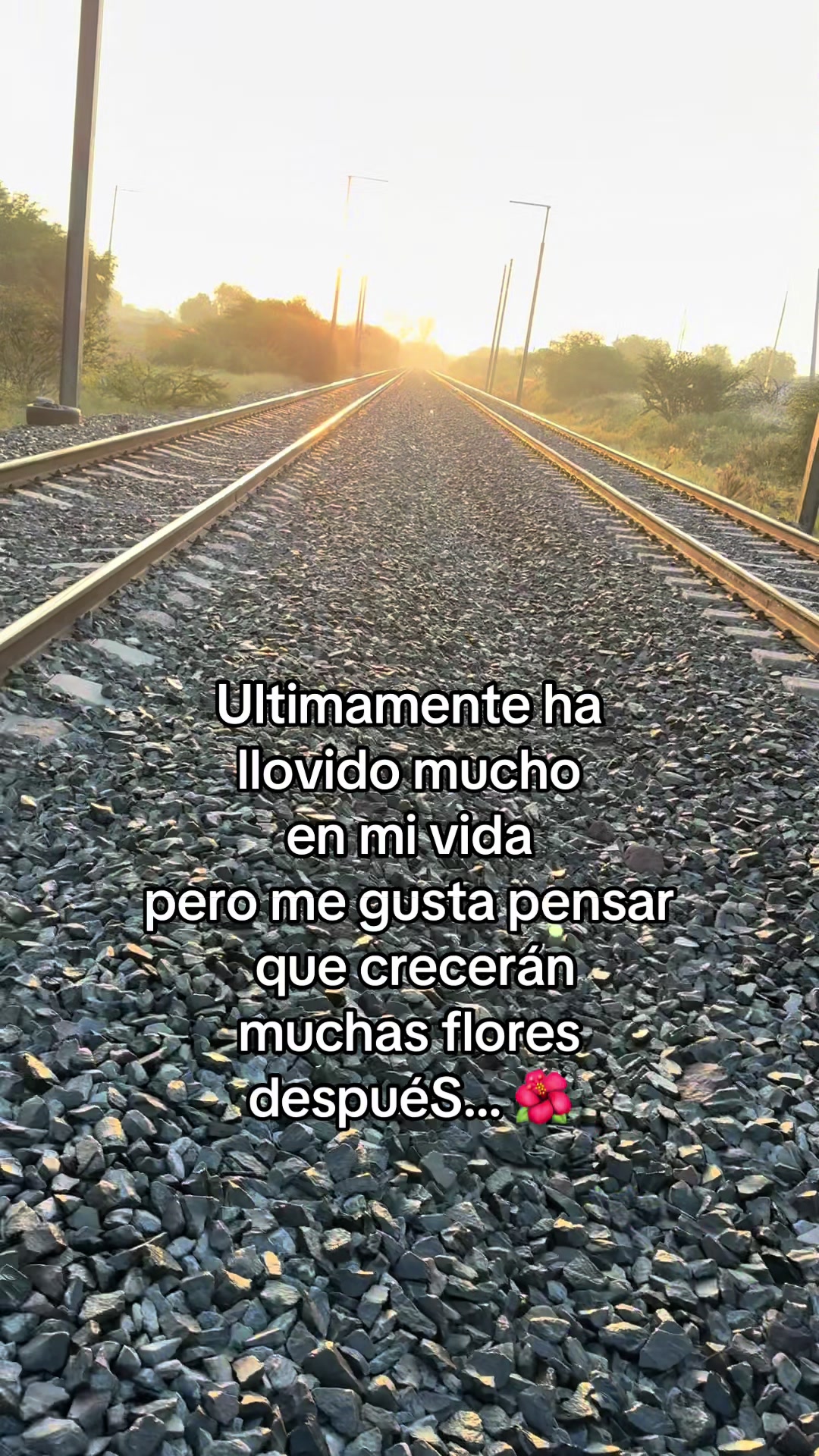 @Jose Casillas
