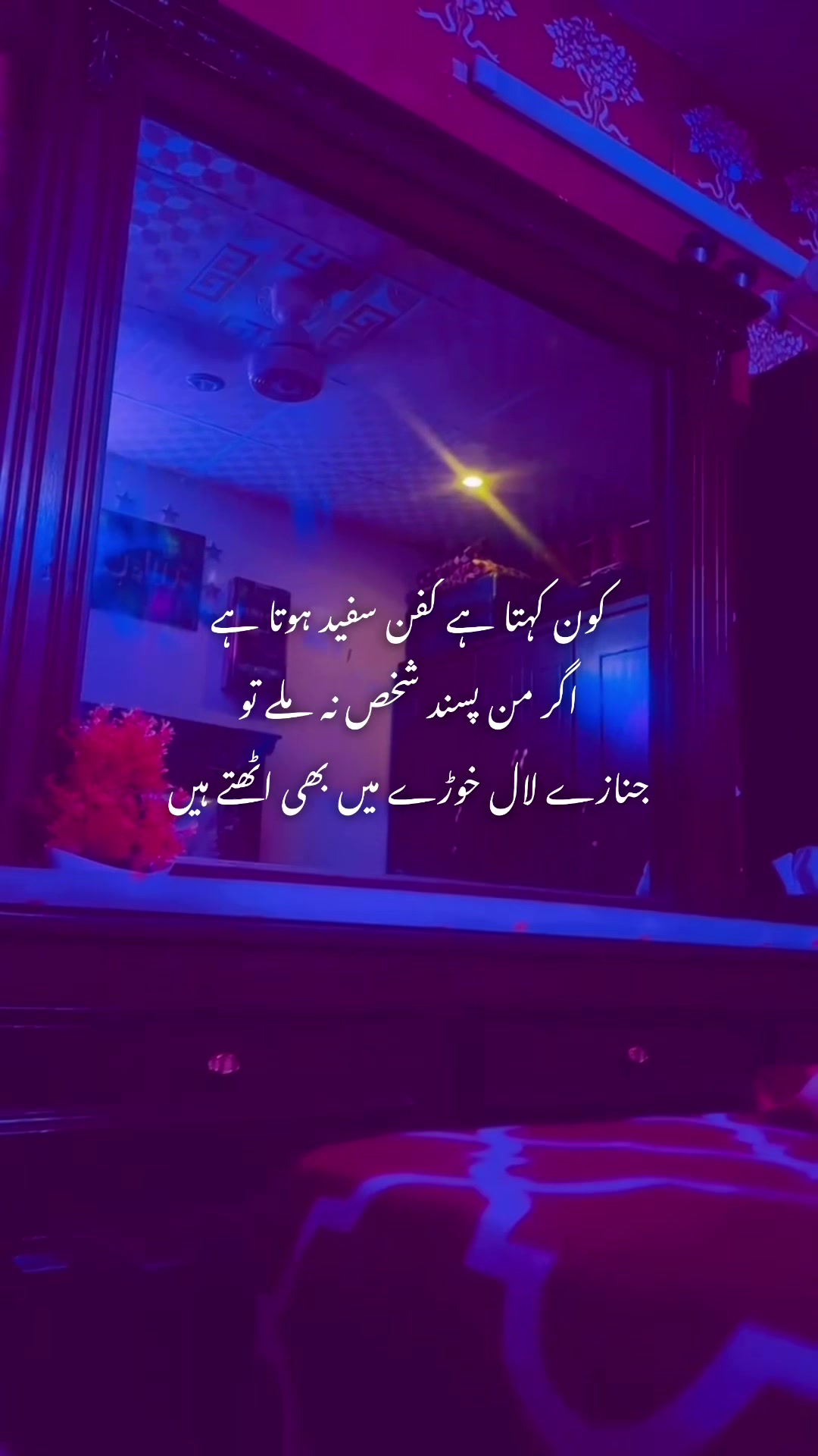 @ہانیہ قائم خانی 👑🦋