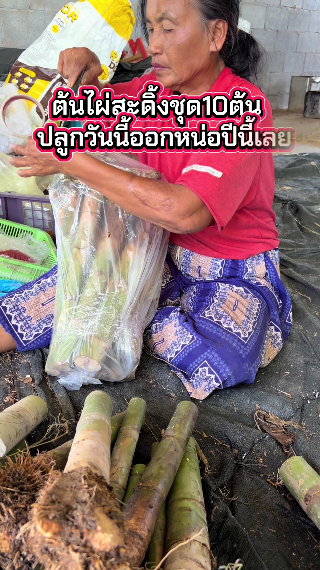 @นัดดาชอป
