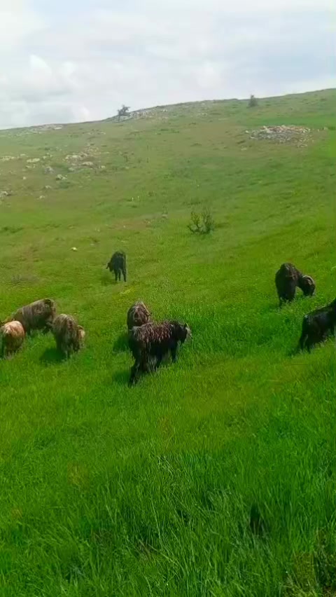 @Ebubekir Kılıç